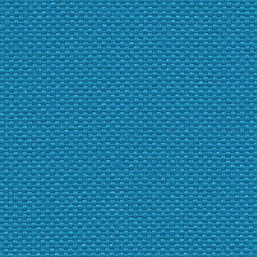6007
