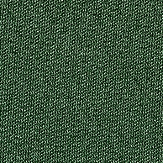 019